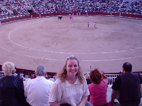 At the Bullfight